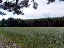 Działka budowlana Nowa Jastrząbka. Zdjęcie 2