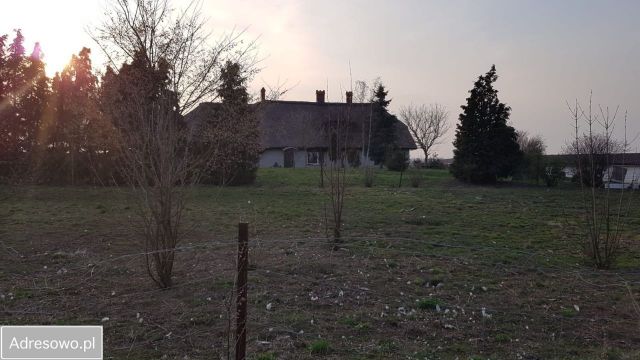 Działka rolna Staw. Zdjęcie 1