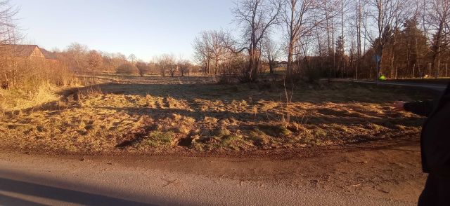 Działka rolno-budowlana Pisarzowice. Zdjęcie 1