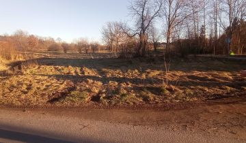 Działka rolno-budowlana Pisarzowice