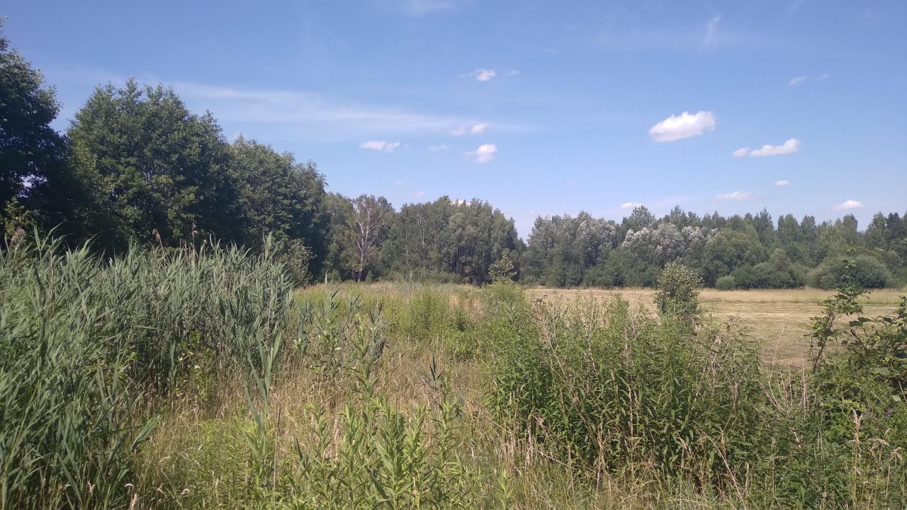 Działka rolna Białystok Zagórki, ul. Kotwicowa. Zdjęcie 5