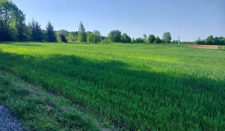 Działka rolno-budowlana Jodłownik Górki