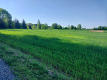 Działka rolno-budowlana Jodłownik Górki