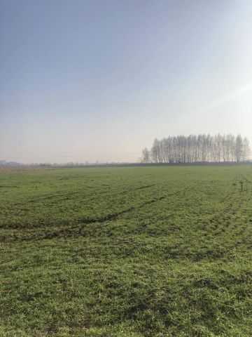 Działka rolna Głazów. Zdjęcie 3