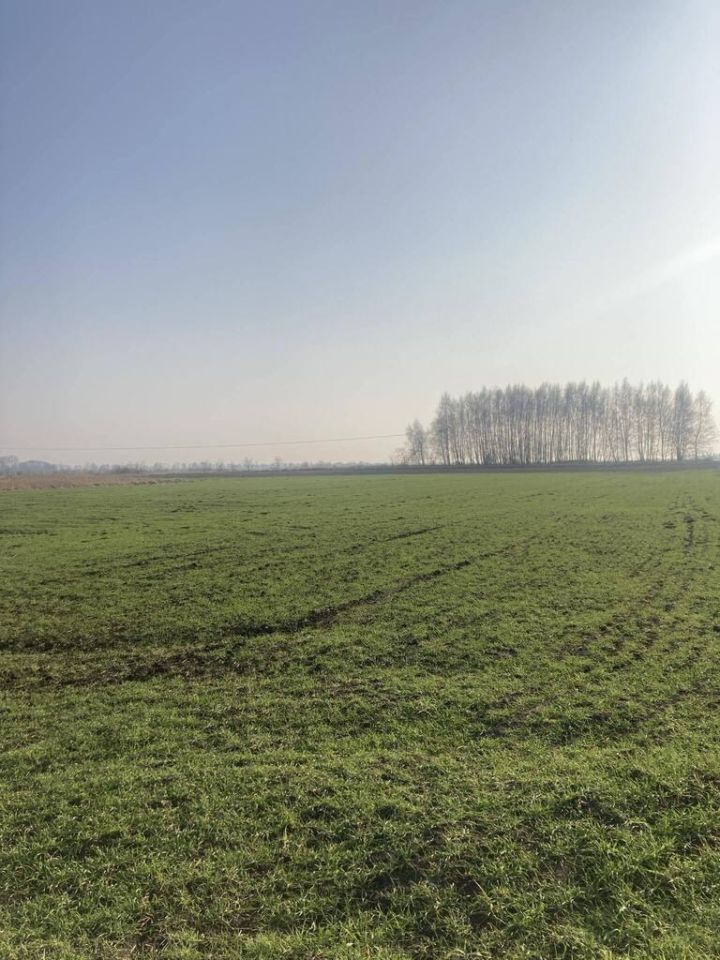 Działka rolna Głazów. Zdjęcie 3