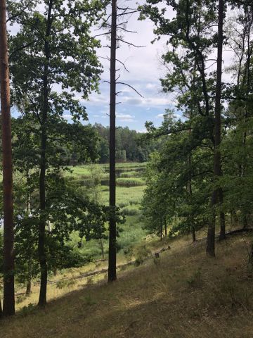 Działka rolno-budowlana Żelichowo. Zdjęcie 7