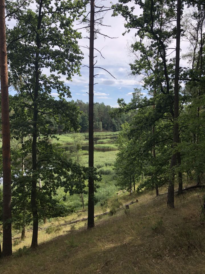 Działka rolno-budowlana Żelichowo. Zdjęcie 7