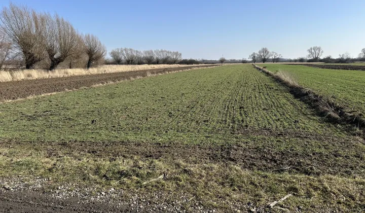 Działka rolna Łęg