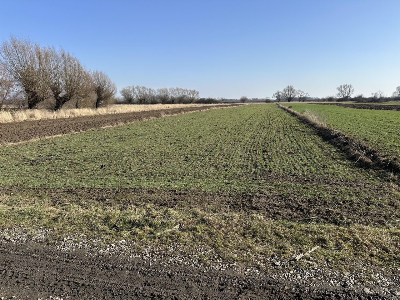 Działka rolna Łęg. Zdjęcie 1