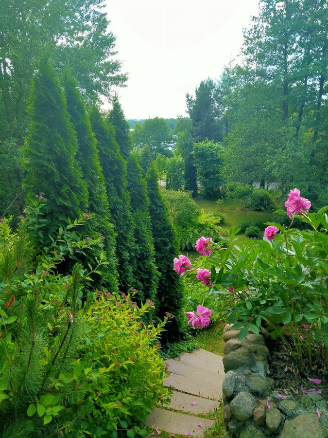 dom, 3 pokoje Łapalice, ul. Zamkowa. Zdjęcie 19