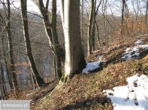 Działka budowlana Pręgowo. Zdjęcie 4