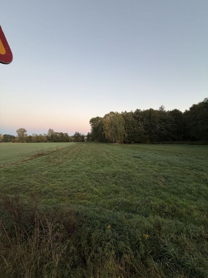 Działka rolno-budowlana Zabruzdy-Kolonia. Zdjęcie 7