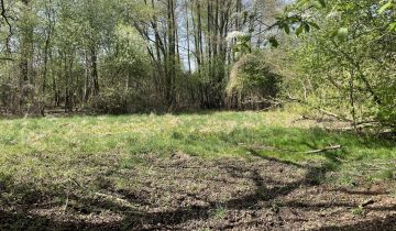 Działka budowlana Budy-Grzybek, ul. Księdza Baranowskiego