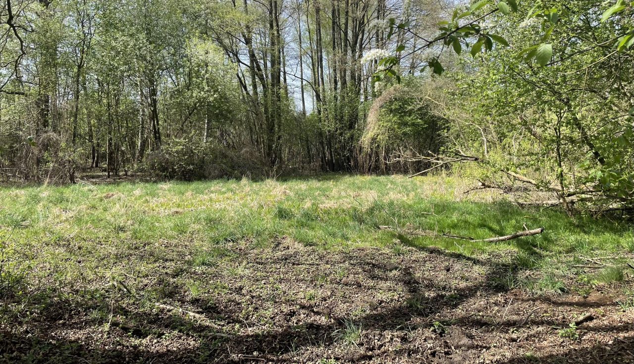 Działka budowlana Budy-Grzybek, ul. Księdza Baranowskiego