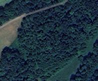 Działka leśna Sichów. Zdjęcie 1