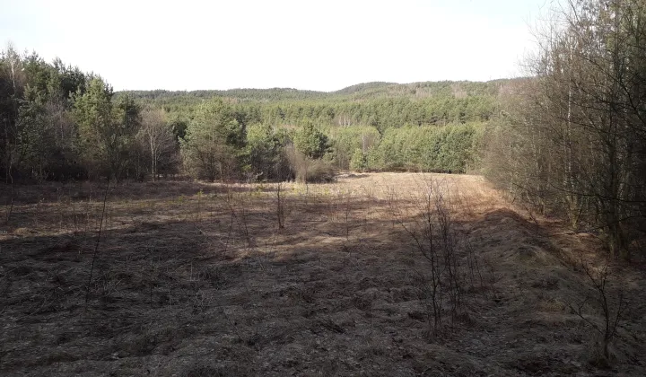 Działka rolna Kwaśniów Górny Glinianki