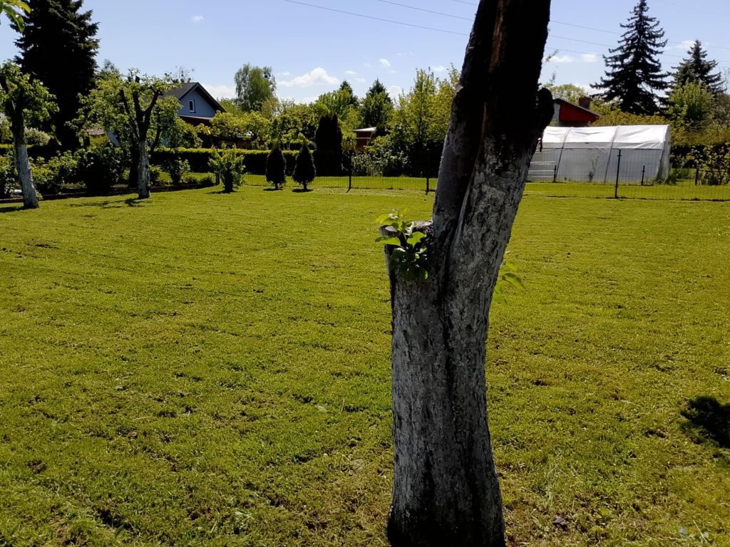 Działka rod Piła. Zdjęcie 5