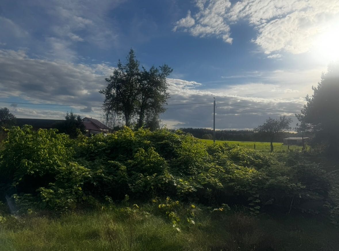 Działka budowlana Sadykierz. Zdjęcie 4