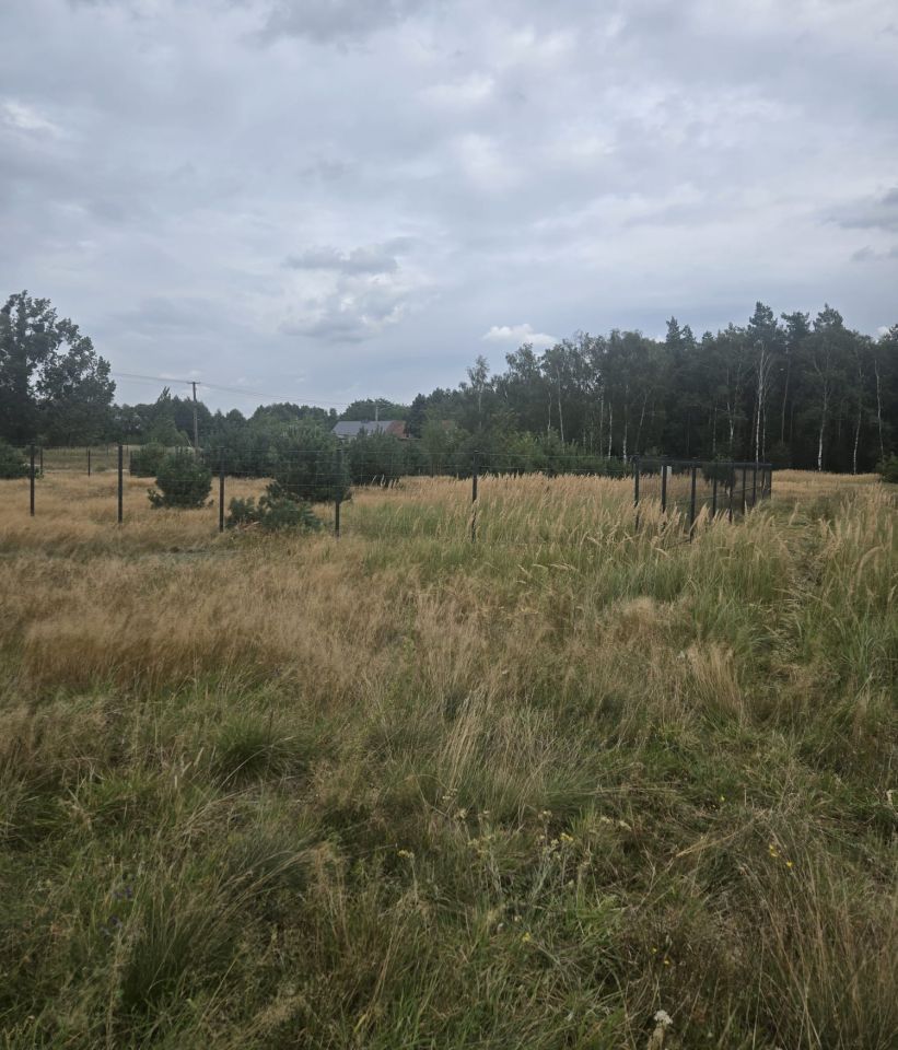Działka budowlana Murzynowiec Leśny. Zdjęcie 9