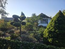 Działka rod Mokra Prawa. Zdjęcie 1