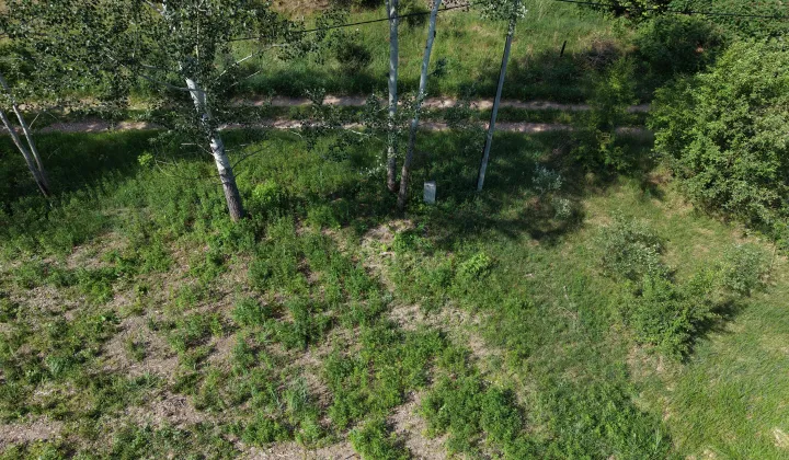 Działka rolno-budowlana Wiązowna Kościelna, ul. Duchnowska