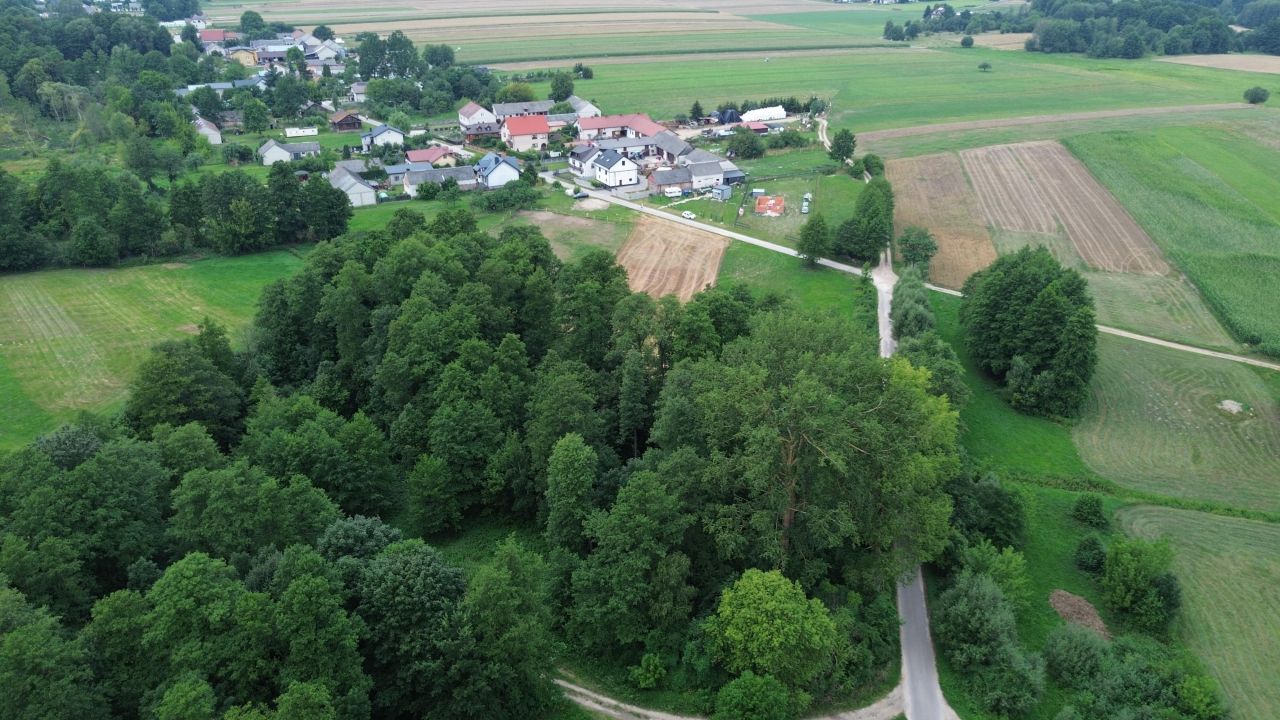 Działka rolno-budowlana Stodzew. Zdjęcie 4