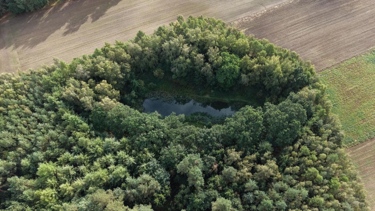 Działka inwestycyjna Kiczarowo. Zdjęcie 8