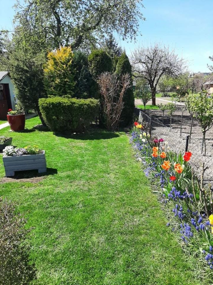 Działka rekreacyjna Wrocław Krzyki, ul. Zabrzańska