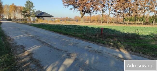 Działka budowlana Orły-Cesin. Zdjęcie 16