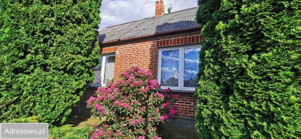 Działka rolno-budowlana Jarentowskie Pole. Zdjęcie 7