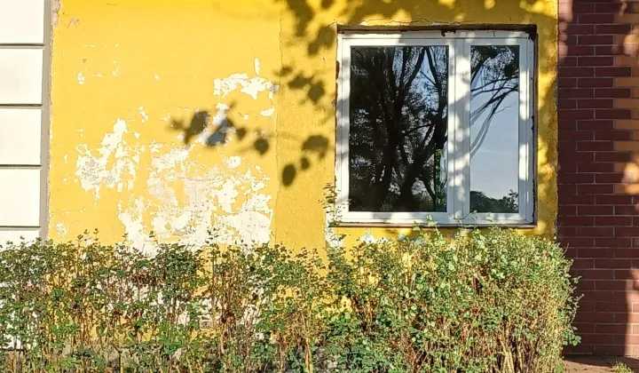 Mieszkanie 1-pokojowe Jeleń