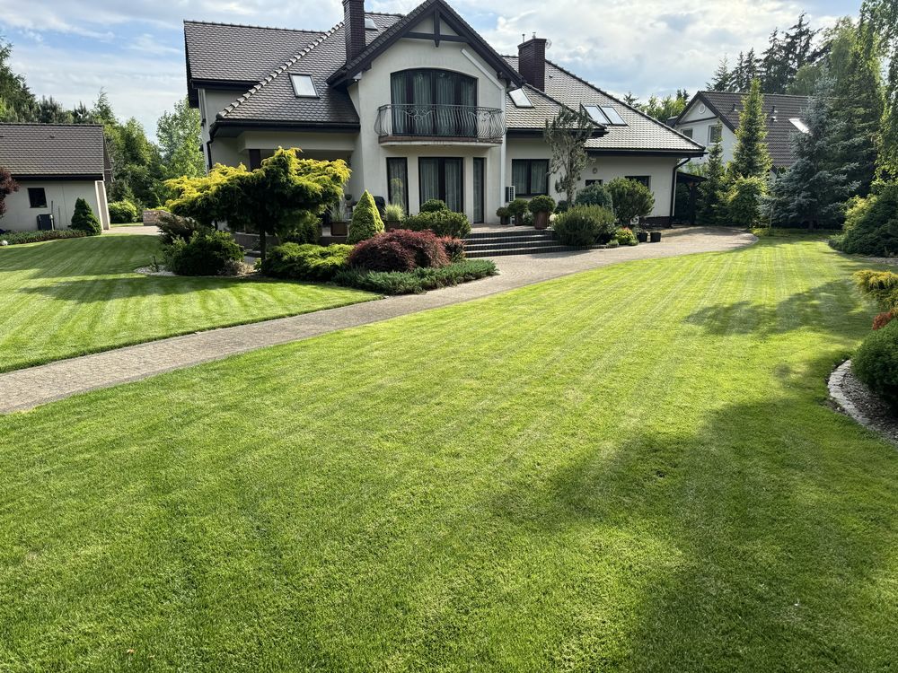 dom wolnostojący Ciechanów