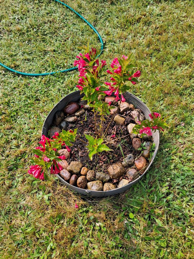 Działka rod Łódź. Zdjęcie 7