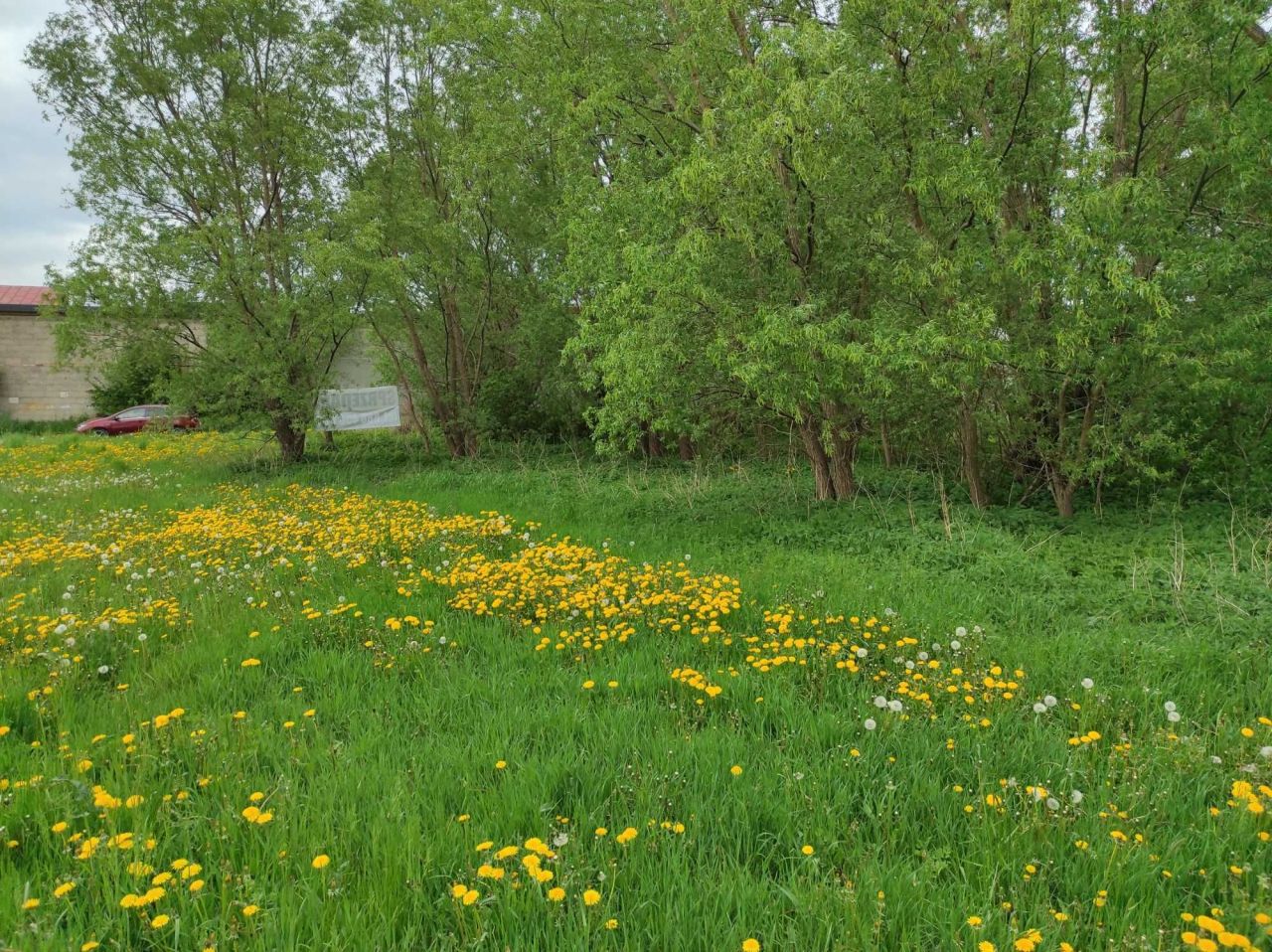 Działka budowlana Raciąż, ul. dr. Atanazego Hankiewicza. Zdjęcie 2