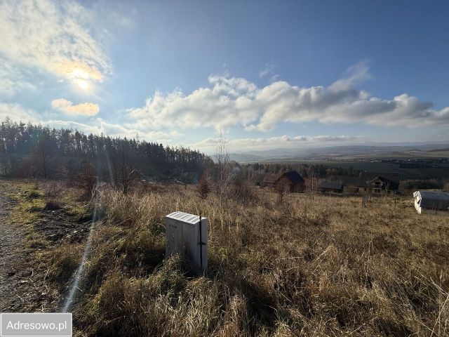 Działka budowlana Święcko Huberek. Zdjęcie 1