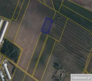 Działka rolna Raczyny