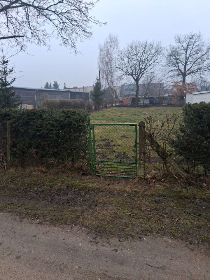 Działka siedliskowa Dziarny. Zdjęcie 4