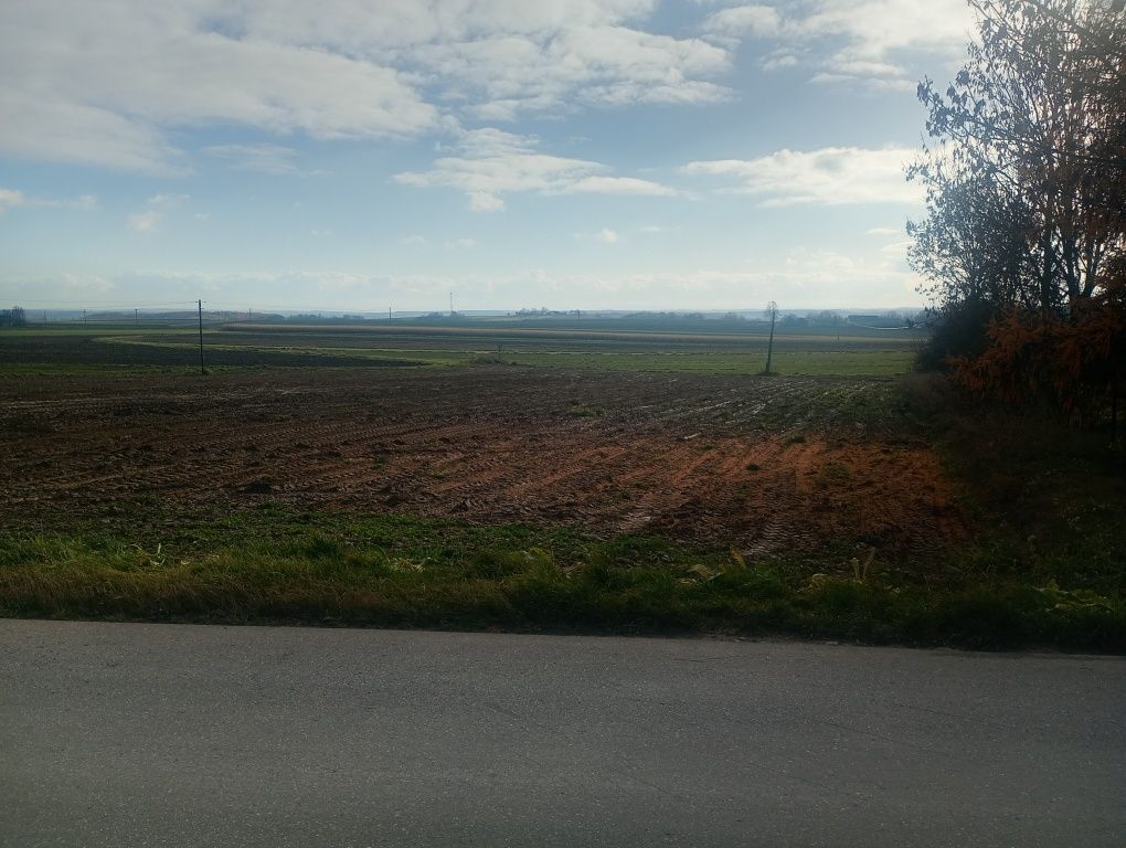 Działka budowlana Buk. Zdjęcie 4