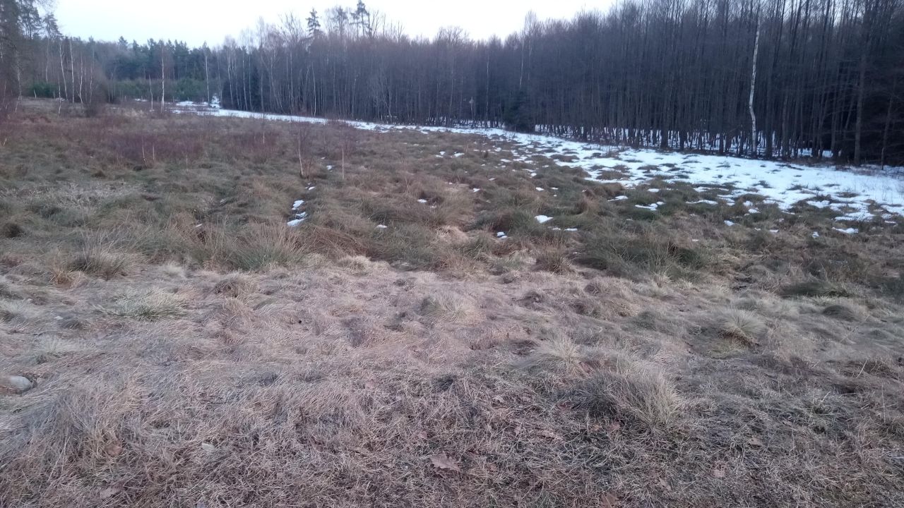 Działka budowlana Dziechno, Brak. Zdjęcie 1