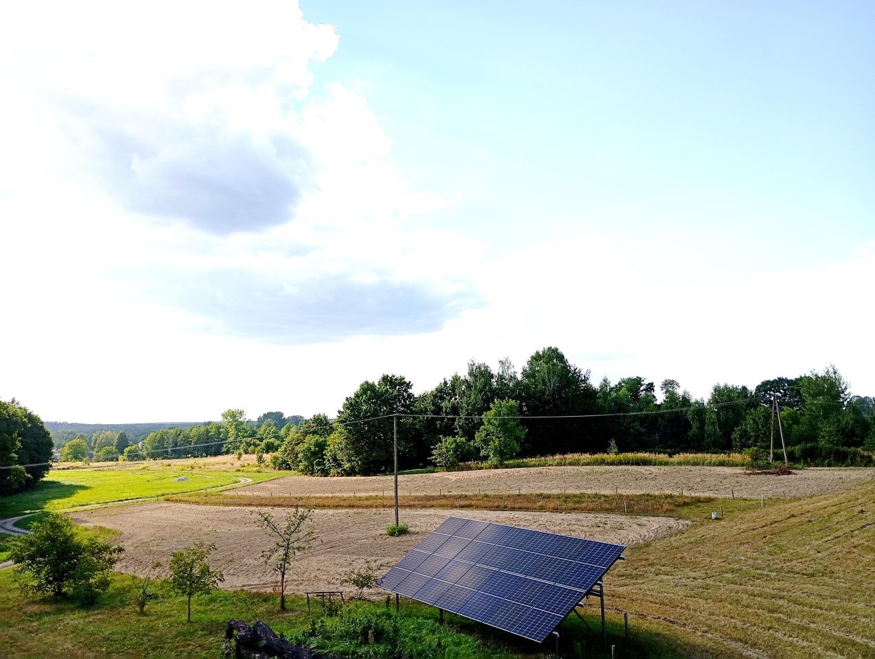 Działka budowlana Zalesie Podlesie. Zdjęcie 3