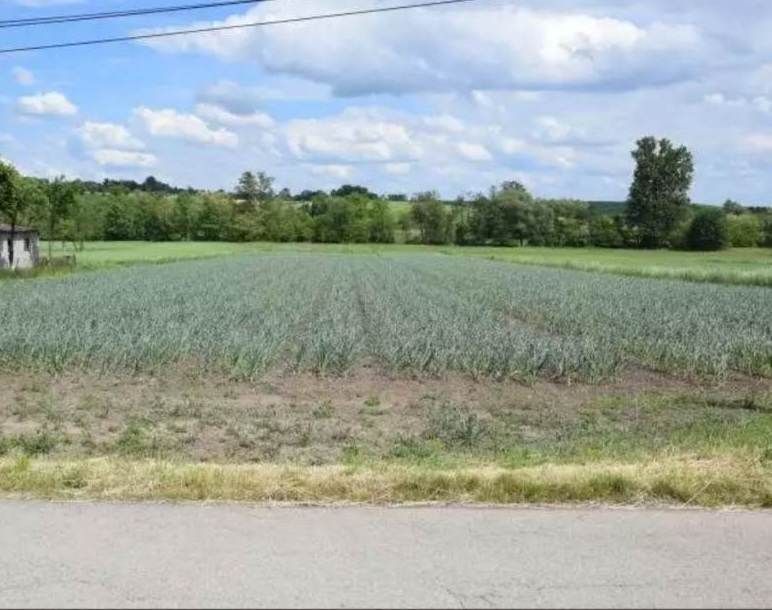 Działka rolno-budowlana Klimontów. Zdjęcie 2