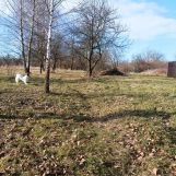 Działka budowlana Tarnobrzeg Nadole, ul. Wałowa. Zdjęcie 3