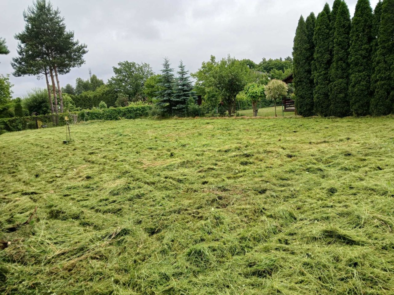 Działka rod Wrzosowa. Zdjęcie 8