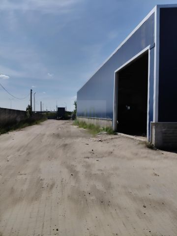 Działka inwestycyjna Tłuste. Zdjęcie 21