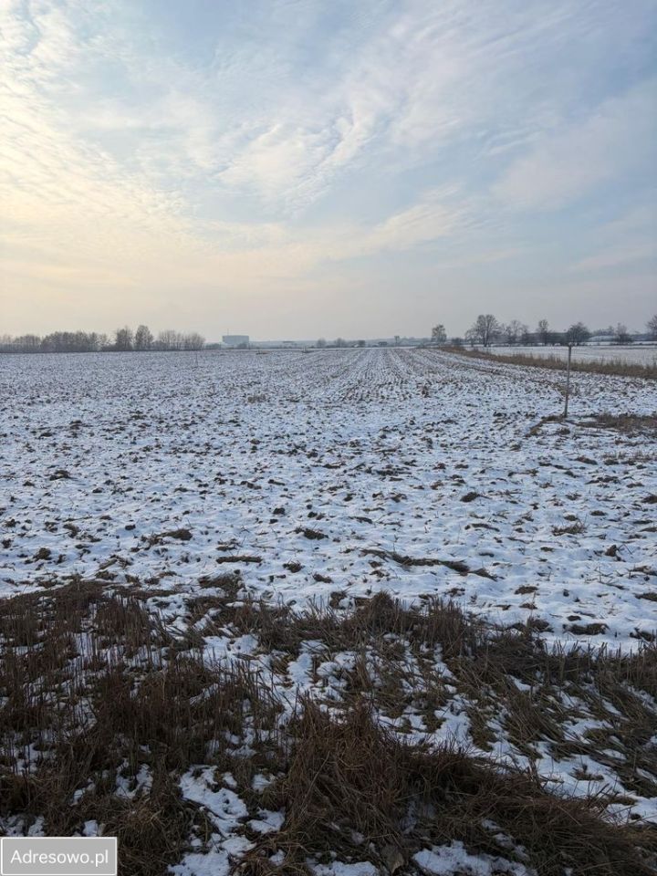 Działka budowlana Bartoszów. Zdjęcie 3