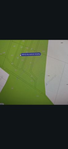 Działka leśna Skalin. Zdjęcie 1