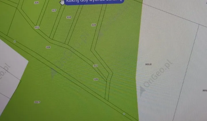 Działka leśna Skalin