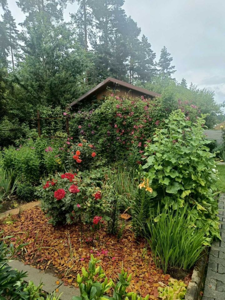 Działka rod Nowy Targ. Zdjęcie 2