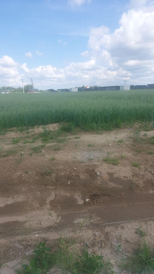 Działka inwestycyjna Koniecwałd. Zdjęcie 3