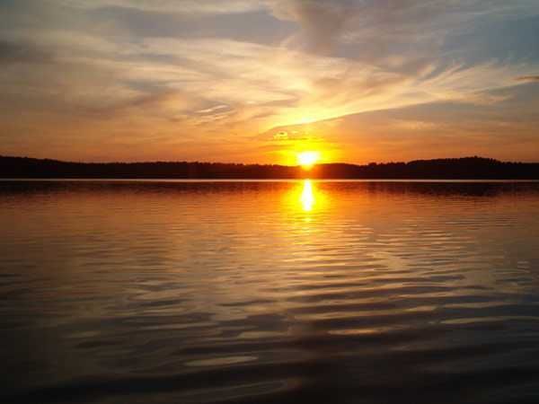 Działka budowlana Pluski. Zdjęcie 8